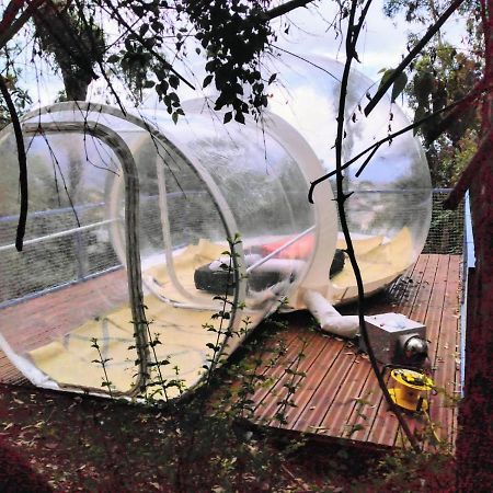 Dans Ma Bulle By C Cibeaulaos Hotel Cilaos Luaran gambar