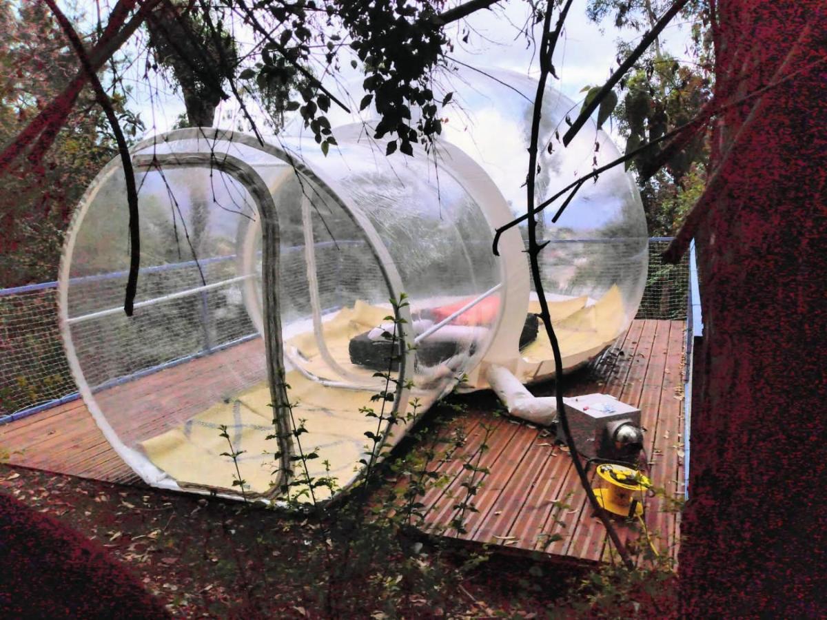 Dans Ma Bulle By C Cibeaulaos Hotel Cilaos Luaran gambar